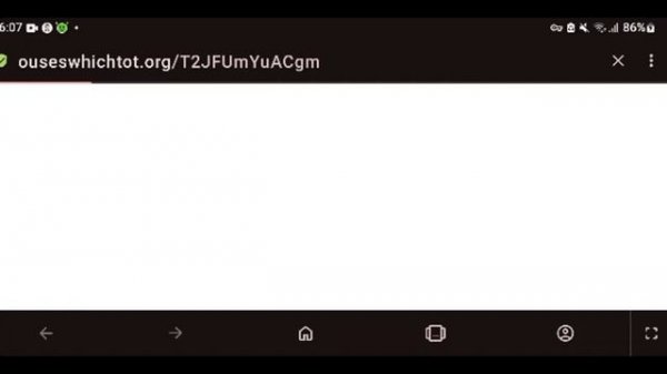 How to use New codex WhiteList System on Mobile! (BloxFruits Showcase)