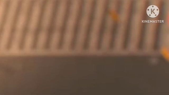 Spider Gwen Vs Venom. Who Will Win?MCOC Special.