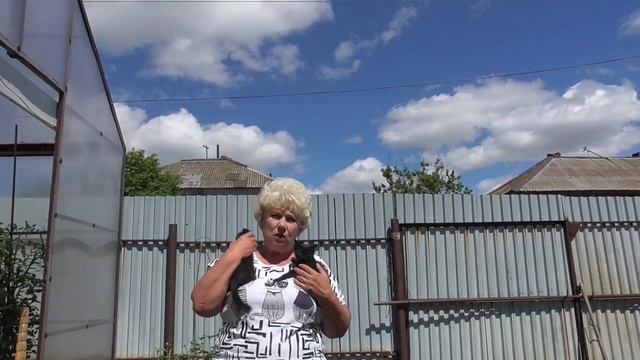 Помогите! Умоляю! Возьмите немного котят! Ольга Чернова. смотреть онлайн
