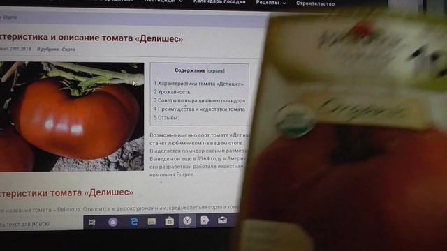 ЕЩЕ ОДНО ОТКРЫТИЕ ЭТОГО ГОДА - ТОМАТ ДЕЛИШЕС. Ольга Чернова. смотреть онлайн