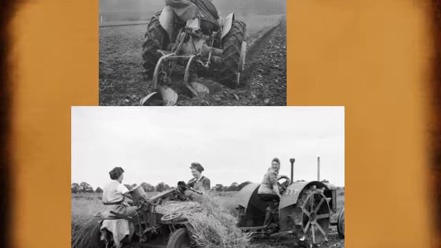 Зибницкая Александра - Не смыкала наша Родина очей смотреть онлайн