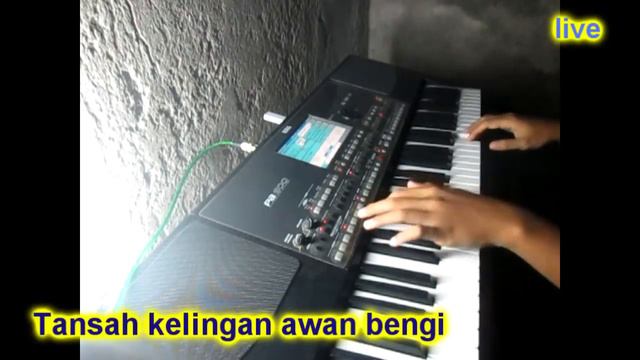 Mendem Kangen Karaoke Korg keyboard Pa 600 900 volca смотреть онлайн