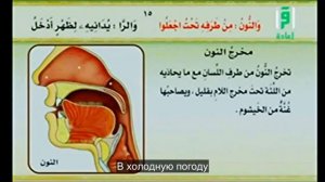 12. Место произношение буквы ر - Ра. « Айман Сувейд «.