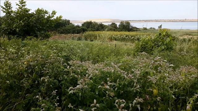 Где остаются мечты.. х.Соленое Озеро. Ставропольского края. смотреть онлайн