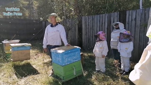 Дары природы - пчелы. Поездка на пасеку смотреть онлайн