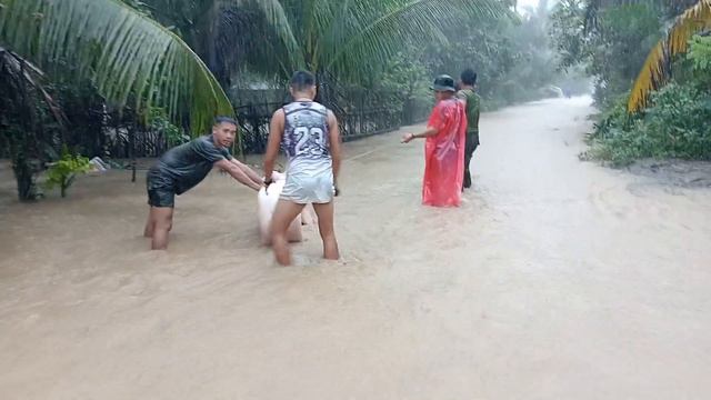 06/02/2024 grabe baha sa brgy kidawa laak DDO..🙏 смотреть онлайн