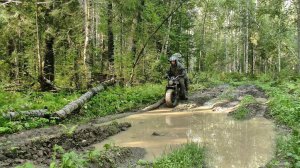 Нашёл лесное урочище / 1 часть #444