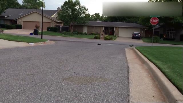 Racing the Traxxas Slash and WLtoys 12428 4WD Rock Racer смотреть онлайн