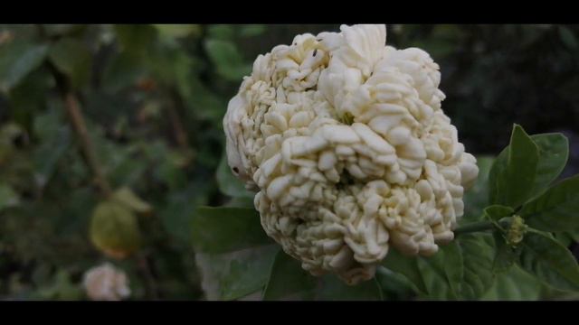 ماهي الأشياء التي يجب ان اعرفها عن يوتيوب /الادسنس /نصب واحتيال احذرو منها ضروري مهم /ربح /تفعيل