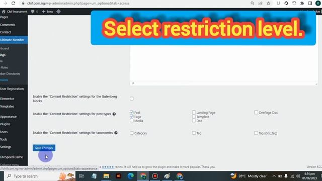 How to restrict Pages to users on WordPress Websites ? #wordpress #wordpresstutorial смотреть онлайн