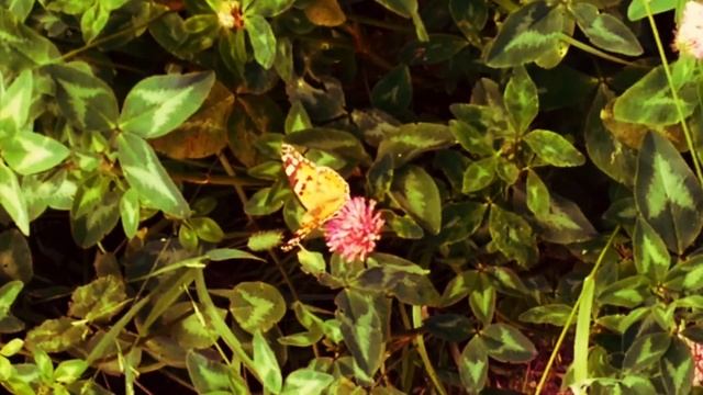 МНЕ МАЛО НАДО смотреть онлайн