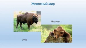 Проект по окружающему миру «Заповедники и национальные парки России»