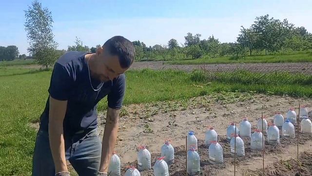 Огород посажен . смотреть онлайн