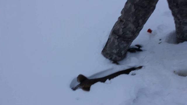 Дорога на зимовье. Жор щуки на жерлицы. смотреть онлайн