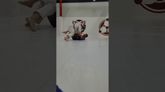 Тренировочная схватка по бразильскому джиу-джитсу bjj смотреть онлайн
