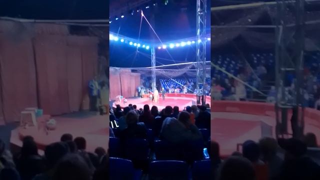 Цирк в ангарске смотреть онлайн