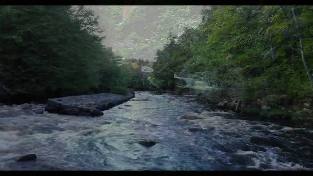 Healing music for the heart and blood vessels - Soft music, calms the nervous system. смотреть онлайн