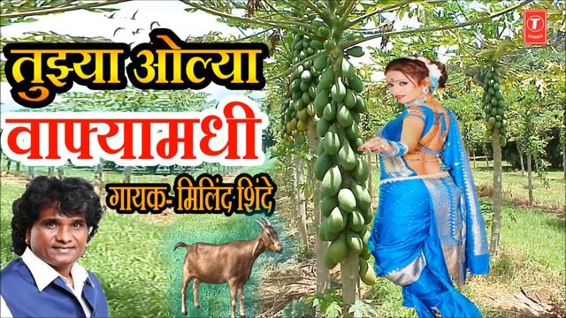 TUJHYA OLYA WAFYAMADHI - MASTI LOKGEET BY MILIND SHINDE || MASTI SONGS смотреть онлайн