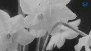 8 марта. История праздника