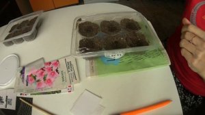 Посев Платикодона,Карпатского колокольчика,Вероники 30.01.23//ОТКРЫЛА ПОСЕВНУЮ