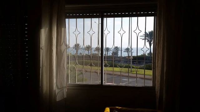 my home 2 - Haifa - Israel смотреть онлайн