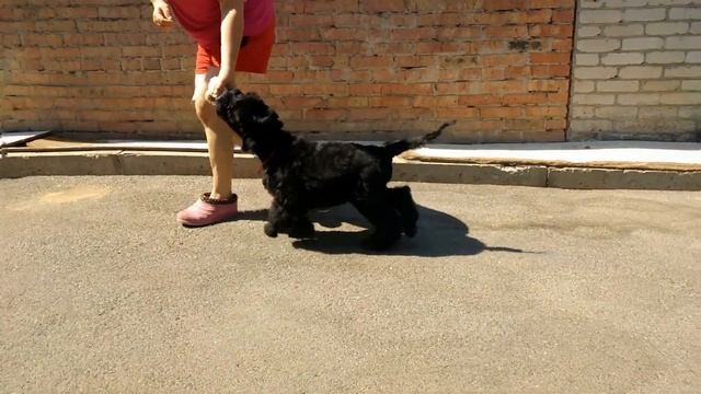 Унция Золота с ЗГ 2м-движения смотреть онлайн