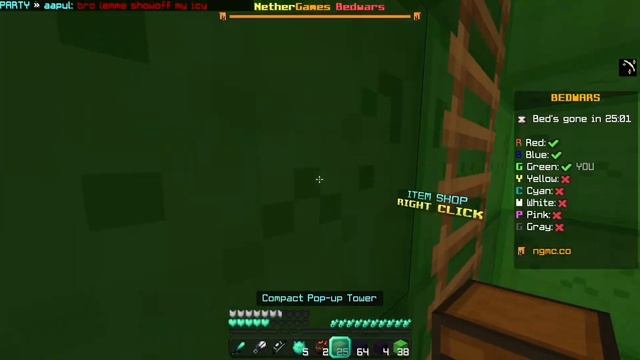 Nethergames CUSTOM Games Are FUN!