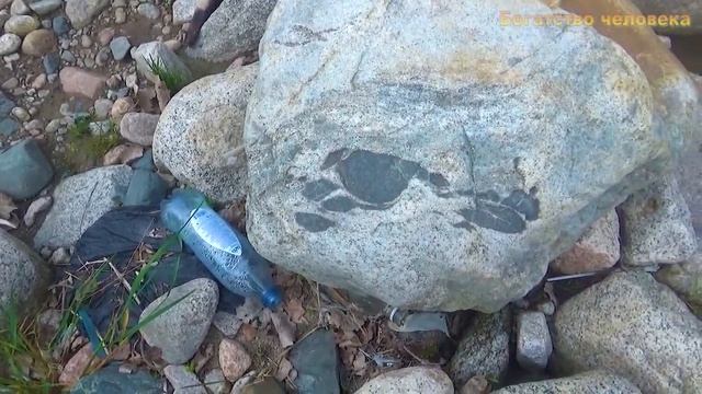 Рукой собираю самородки и монеты смотреть онлайн