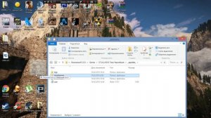 Решаем проблему с зелёным жучком в S.T.A.L.K.E.R (все части)