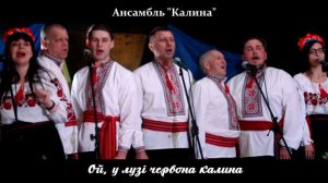Ансамбль "Калина" - Ой, у лузі червона калина