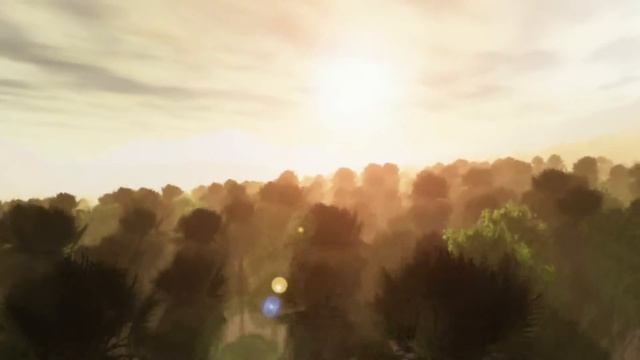 Vue 8 Morning Forest 1 смотреть онлайн