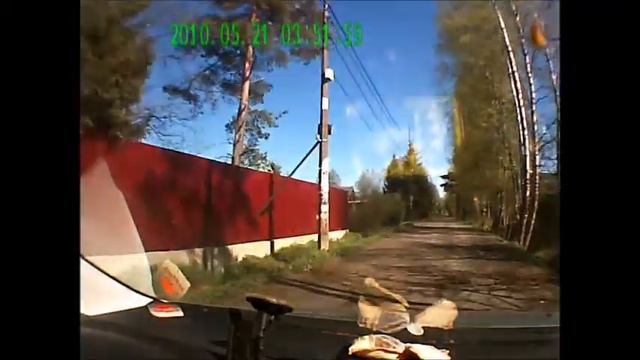 ЖИВОТНЫЕ НА ВОЛЕ смотреть онлайн