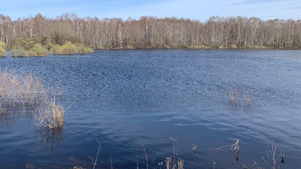 С. Северное, Биазинский мост. Река Тартас 13.05.2024 смотреть онлайн