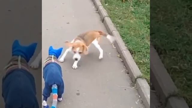 VID-20231120-WA0000.mp4 смотреть онлайн