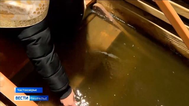 Совершить крещенский обряд в Частоозерье приехали сотни верующих смотреть онлайн
