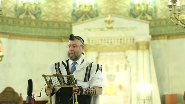 "Подарок" при условии вернуть или законы праздника Суккот. Урок р. П. Гольдшмидта (29.09.14) смотреть онлайн