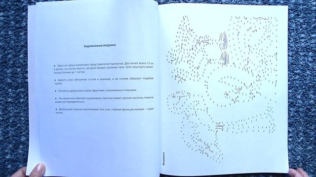 Соедини по точкам / Мир животных / Обзор смотреть онлайн