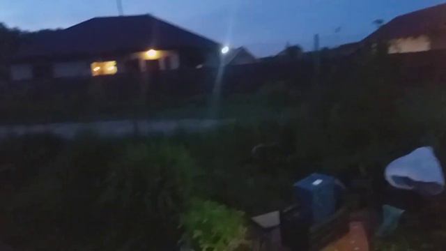 Не жди!!!!Не вырастит!!!😭😭😭 смотреть онлайн
