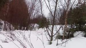 Самодельный гусеничный вездеход.