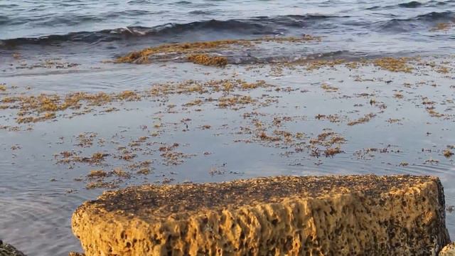 Вечерний бриз.Бухта Ярылгач. Крым. Россия - 2016. смотреть онлайн