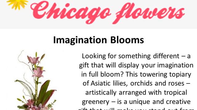 Chicago Flowers Shops in Chicago