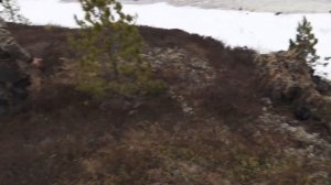 Весенняя охота на гуся в ЯНАО. 1400 км. Заброска на квадроцикле в тундре.