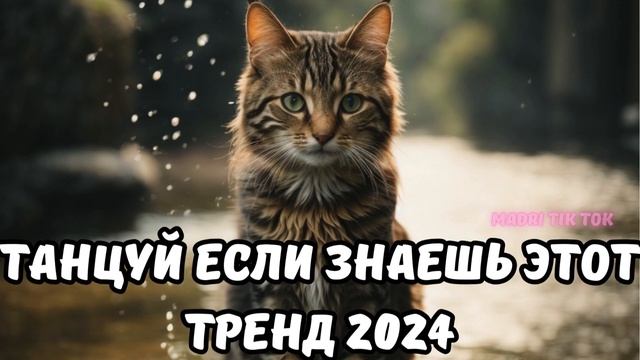 ?ТАНЦУЙ ЕСЛИ ЗНАЕШЬ ЭТОТ ТРЕНД 2024? смотреть онлайн