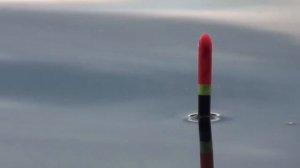 КАРП НА ПОПЛАВОК! ЛОВЛЯ КАРПА НА ПОПЛАВОЧНУЮ УДОЧКУ, рыбалка на карпа осенью 2022 #рыбалка#