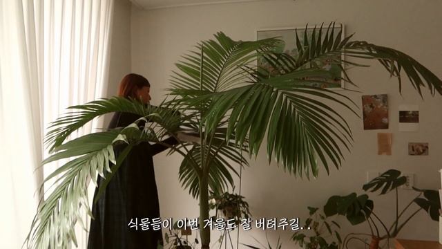 애정하는 살림템으로 겨울살림 준비 / 블라인드청소 / 저탄고지원팬요리 смотреть онлайн