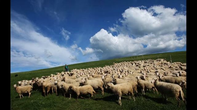 Часть 2 - 600 млрд.рублей субсидий на сельское хозяйство! смотреть онлайн