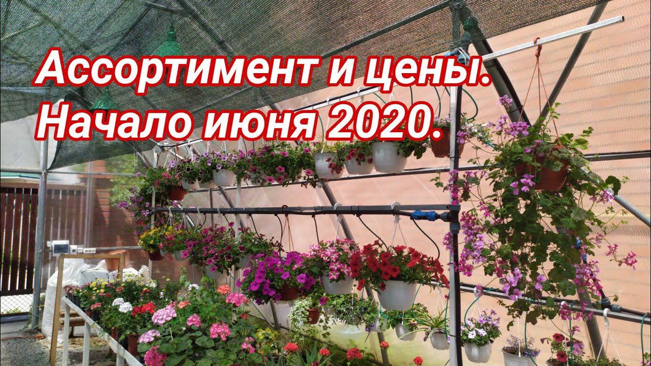 31 мая 2020. Ассортимент, цены, планы! смотреть онлайн