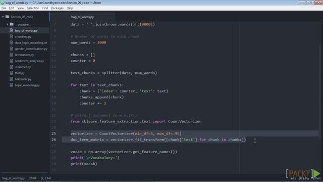 48 Building a Bag of Words Model смотреть онлайн