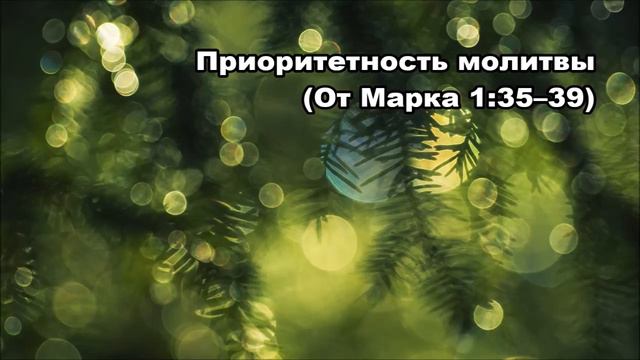 Тихое время с Живой Жизнью: от Марка 1:35–45 (03012019) смотреть онлайн