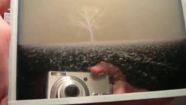 "Tree in the fog" Dagerrotípiáim,avagy kortárs dagerrotípiák Contemporary daguerreotype смотреть онлайн